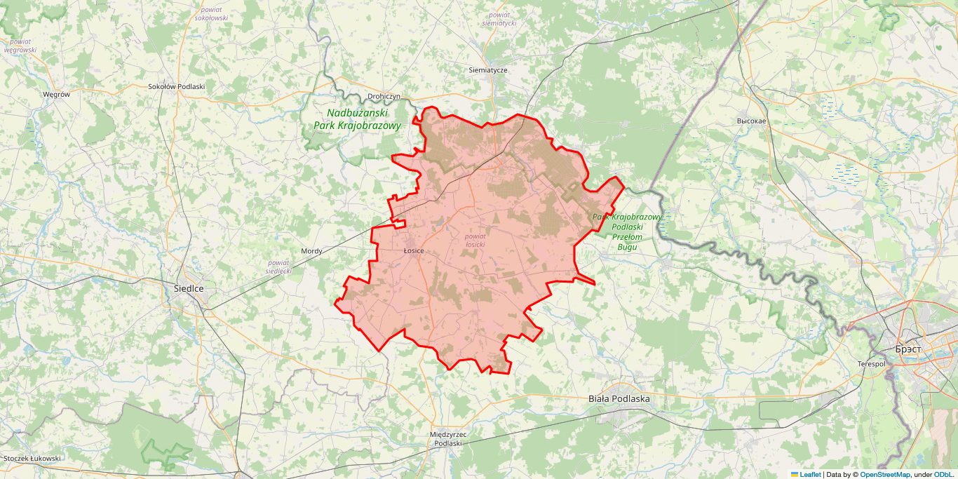 Elektryk Łosice