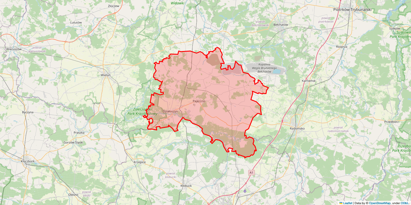 Miasto Działoszyn