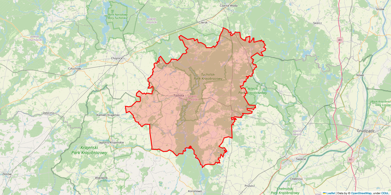 Elektryk Tuchola